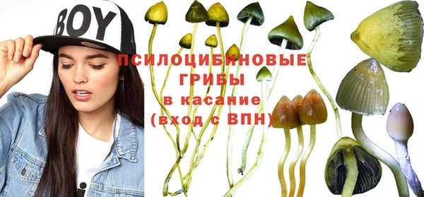 спиды Алзамай