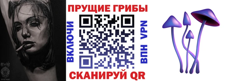 shop официальный сайт  где можно купить   Пикалёво  Псилоцибиновые грибы мухоморы 