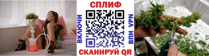 Бошки Шишки планчик  мориарти состав  Пикалёво 